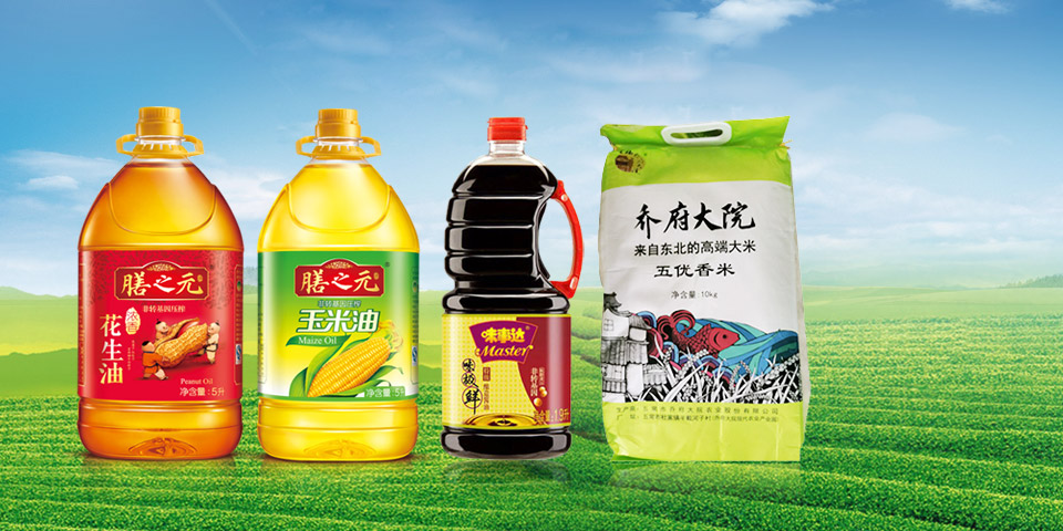 公司简介